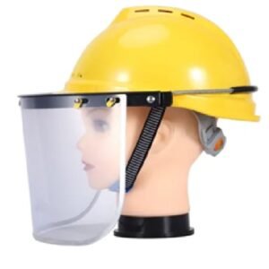 Helmet with face shield