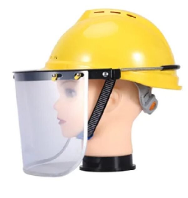 Helmet with face shield