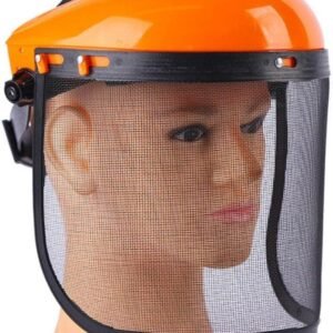 Face Mesh Protective Veil