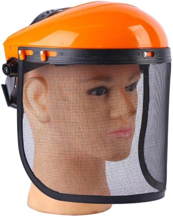 Face Mesh Protective Veil